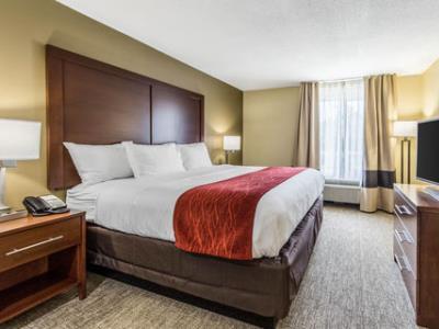 Comfort - Ashley Phosphate Hotel